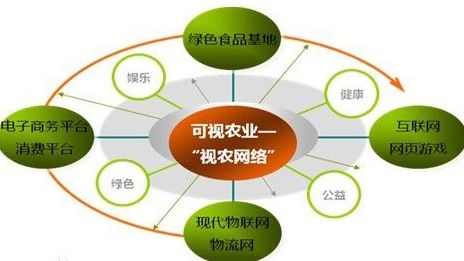 VIE架構(gòu)與大數(shù)據(jù)服務(wù) 跨境融資與數(shù)據(jù)驅(qū)動(dòng)的雙軌演進(jìn)